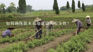 如何确保苗木基地建设的安全性?