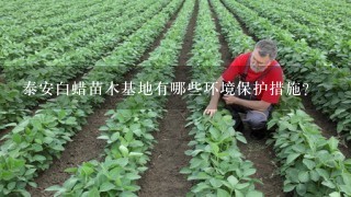 泰安白蜡苗木基地有哪些环境保护措施?