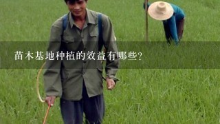 苗木基地种植的效益有哪些?