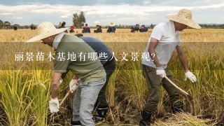 丽景苗木基地有哪些人文景观?