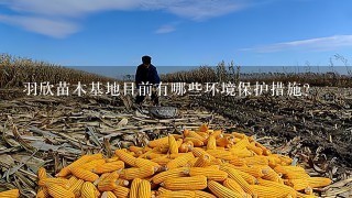 羽欣苗木基地目前有哪些环境保护措施?