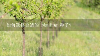 如何选择合适的 planting 种子?