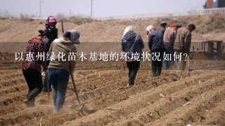 以惠州绿化苗木基地的环境状况如何?