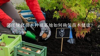 蒲江绿化苗木种植基地如何确保苗木健康?
