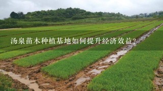 汤泉苗木种植基地如何提升经济效益?