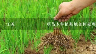 江苏انگلیسی草苗木种植基地如何处理生物多样性?