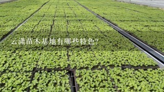 云潇苗木基地有哪些特色?