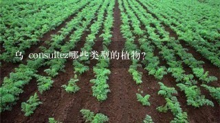 乌 consultez哪些类型的植物?