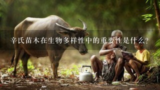 辛氏苗木在生物多样性中的重要性是什么?