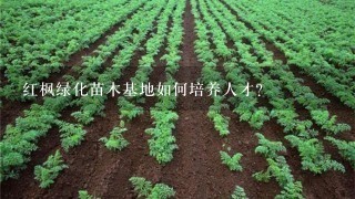 红枫绿化苗木基地如何培养人才?