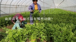 血橙苗木基地目前有哪些功能?