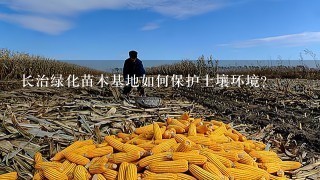 长治绿化苗木基地如何保护土壤环境?