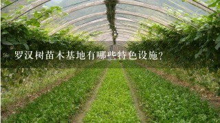 罗汉树苗木基地有哪些特色设施?