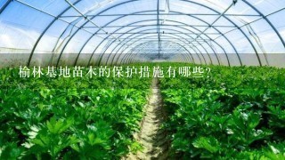 榆林基地苗木的保护措施有哪些?