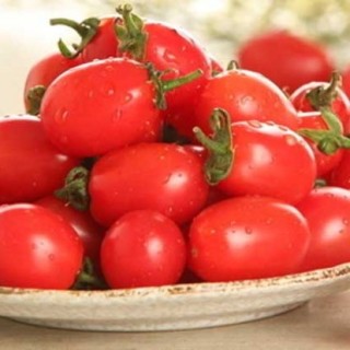 樱桃小番茄种植技术,第4图