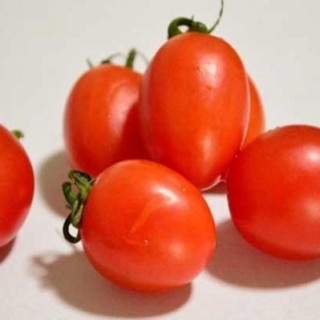 樱桃小番茄种植技术,第5图