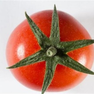 西红柿萼片干尖原因及防治方法,第4图