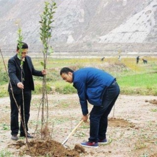 果树栽植如何提高成活率,第3图