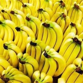 香蕉高产种植技术,第1图