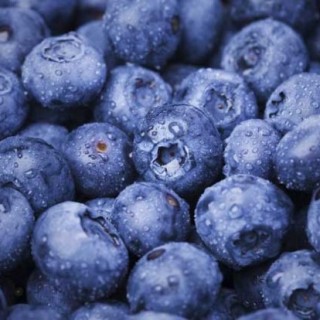 蓝莓的产地分布,第1图