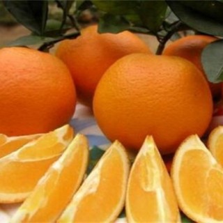 橙子的功效与作用禁忌,第1图