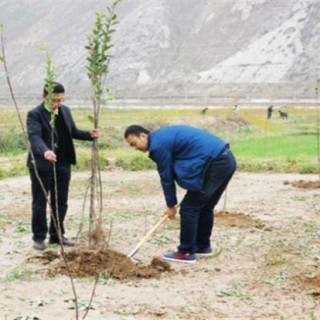 果树不同季节的栽培要点,第1图