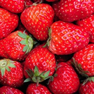 四季草莓种植技术,第4图