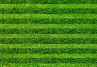 草坪种植技术(2),第1图