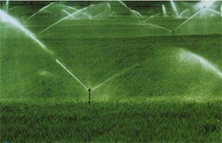 水稻灌溉技术,第2图