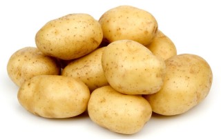 马铃薯高产栽培种植技术,第1图