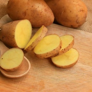 马铃薯是土豆还是红薯，两者的特征,第2图