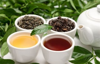 红茶和绿茶的区别,第1图