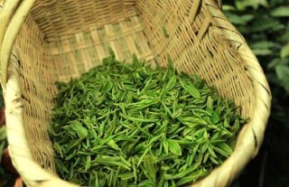 茶叶的品种简介及图片大全,第3图