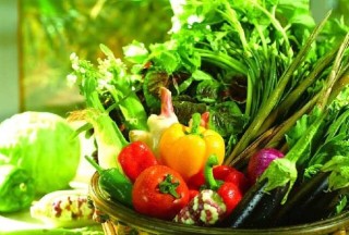 蔬菜常用农药的使用准则,第4图