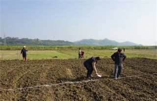 冬小麦种植技术,第1图