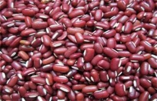 赤小豆的种植方法,第5图