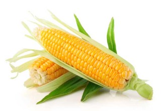 经常吃玉米会胖吗?,第1图