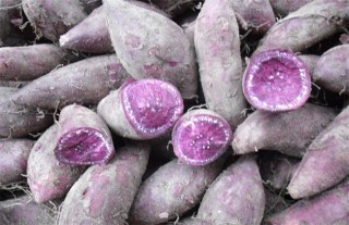 紫薯的种植技术,第2图