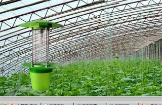 温室大棚蔬菜灭虫方法,第4图