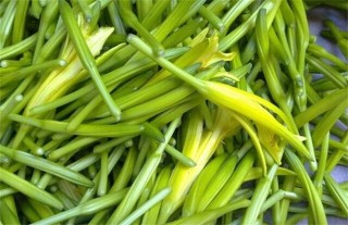 黄花菜高产的施肥方法,第4图