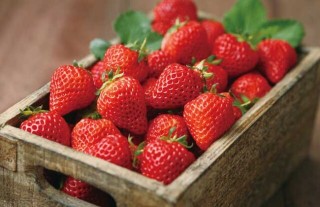 草莓什么时候成熟？,第2图