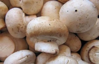 蘑菇施肥的注意事项,第2图