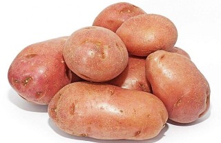 土豆的种植时间与方法,第3图