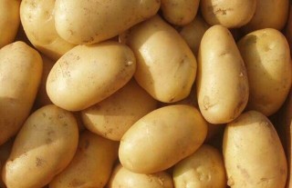 马铃薯是土豆还是红薯？,第3图
