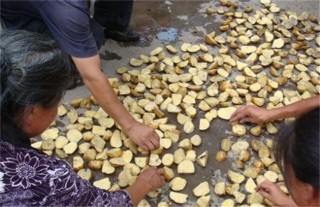 土豆种植技术,第2图