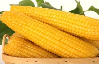 玉米多穗的原因,第5图