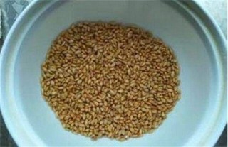 小麦种子播种前处理,第5图