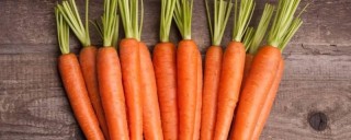 胡萝卜和红萝卜的区别,第1图