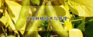 大豆种植技术与管理,第1图