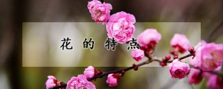 花的特点,第1图